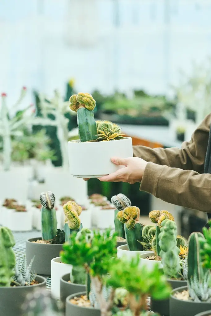 12/13＆14｜Tokyo Coffee Festival 2025 winter開催 画像 23