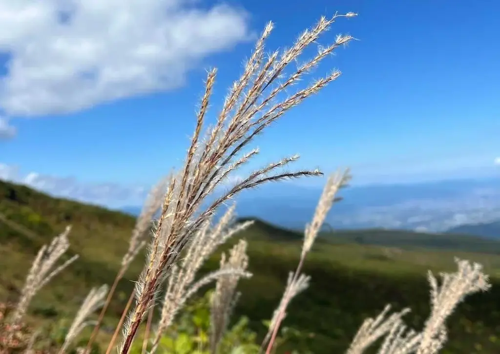 「登られた山ランキング2025」を公開 画像 3