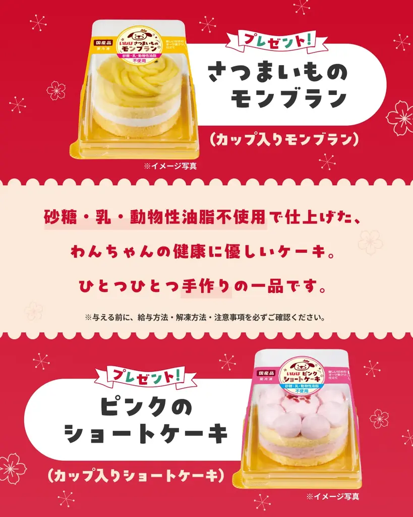 いなばペットフード　ペットメディア「PECO」とのInstagramタイアップキャンペーンを開始！ 画像 3