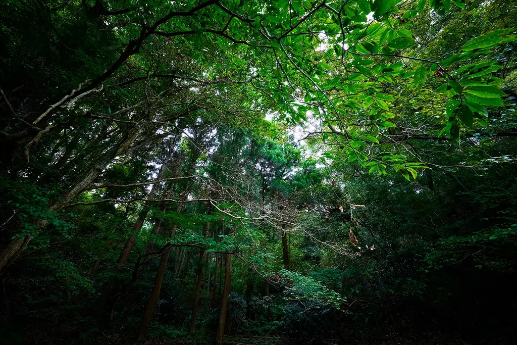 【ArtisanNIPPON】“焼くだけでレストラン級” 天然猪・鹿の人気ジビエを詰め込んだ年末肉ギフト3セット新発売 画像 6