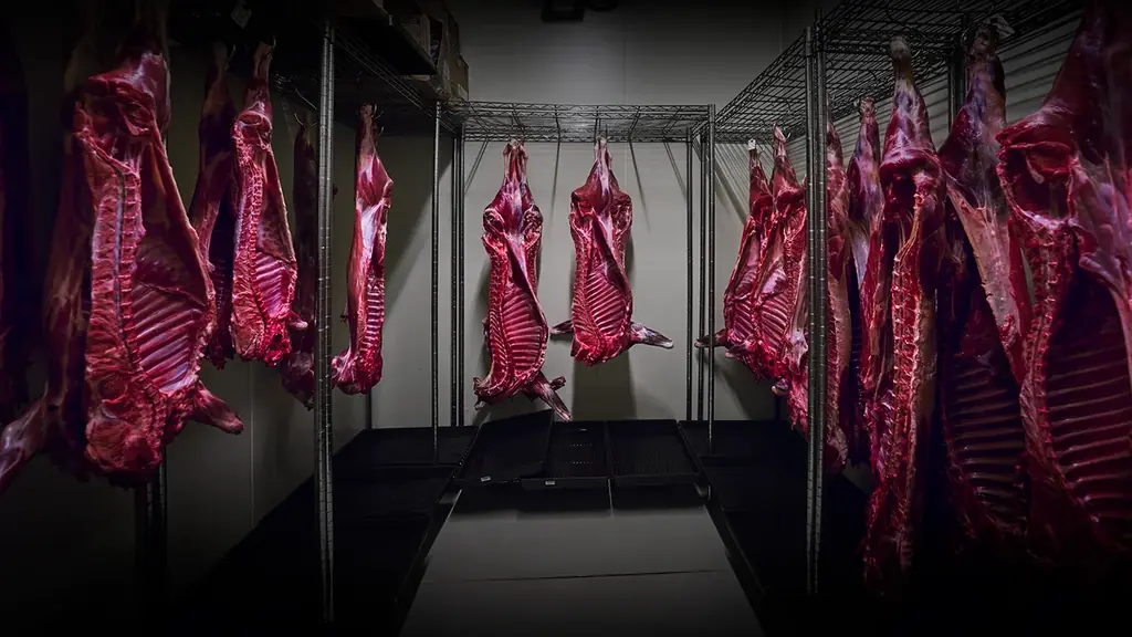 【ArtisanNIPPON】“焼くだけでレストラン級” 天然猪・鹿の人気ジビエを詰め込んだ年末肉ギフト3セット新発売 画像 7