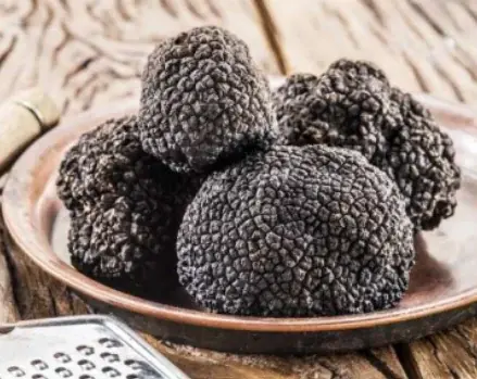 「なめこ」「トリュフ」など食卓の素材が美容成分に!? サステナブルな時代に問う、“意外な素材”が秘める次なる美のトレンド。 画像 2