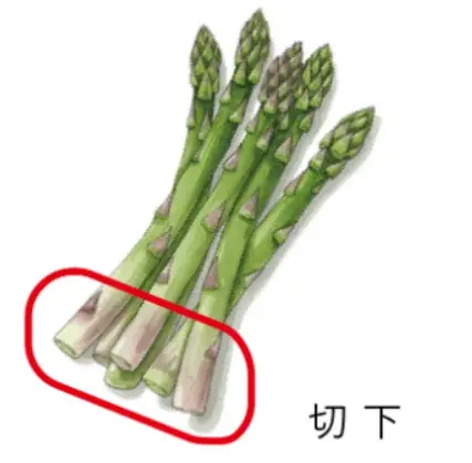 「なめこ」「トリュフ」など食卓の素材が美容成分に!? サステナブルな時代に問う、“意外な素材”が秘める次なる美のトレンド。 画像 3