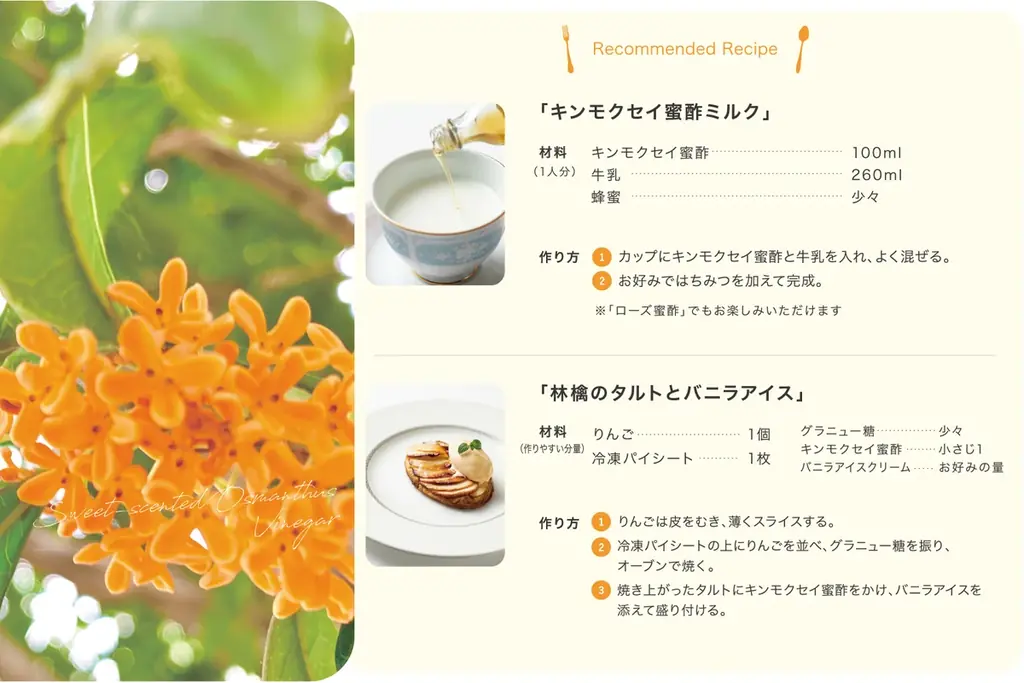 【12月10日発売】自然の恵みで、心とカラダをやさしく整える贅沢な Beauty「ハーブ蜜酢」。こだわりのオーガニックハーブを閉じ込めた新商品 画像 8