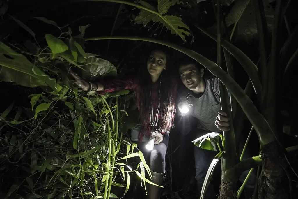 【自然が灯す光に気づく夜】沖縄本島南部、本物のジャングルから見上げる冬の夜空！【閉園後のテーマパーク内のジャングルを歩こう！】 画像 4