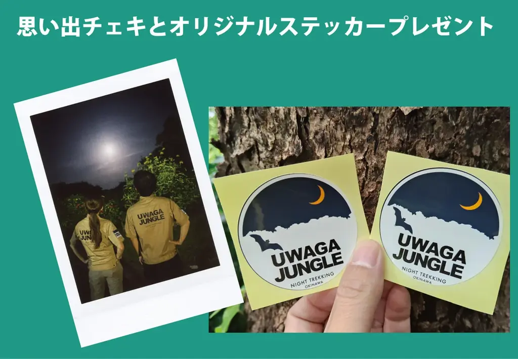 【自然が灯す光に気づく夜】沖縄本島南部、本物のジャングルから見上げる冬の夜空！【閉園後のテーマパーク内のジャングルを歩こう！】 画像 8