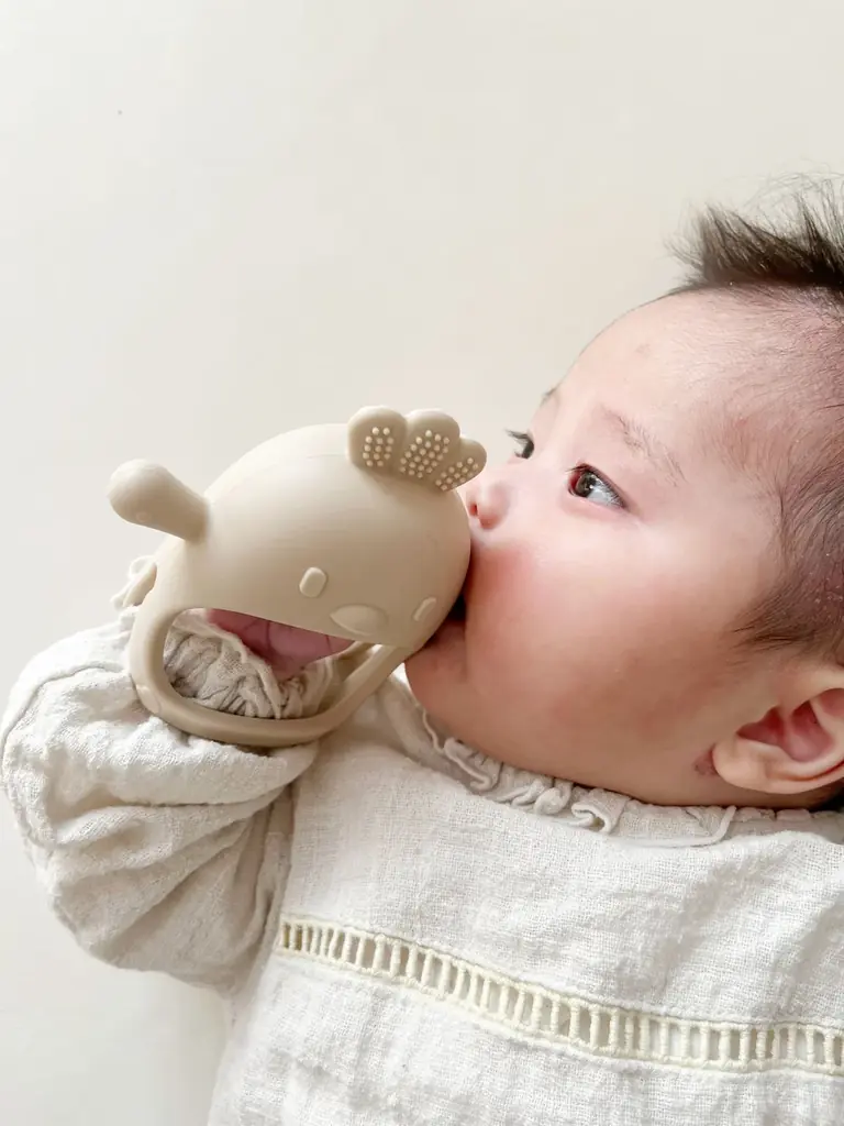 「どれが良いの？」検索迷子に終止符。月間約400万回(※1)の検索データが導き出した「Berpy 歯固め」が「ママリ口コミ大賞2026」を受賞 画像 3