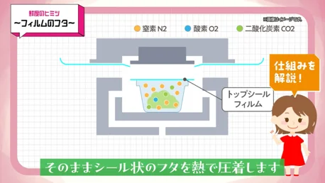 最大1.8倍の大容量カップデリ2商品を年末年始に向け期間限定発売「もりっもり ベーコンペッパー マカロニサラダ」と「もりっもり 5種具材のさっぱり春雨サラダ」が登場！ 画像 4