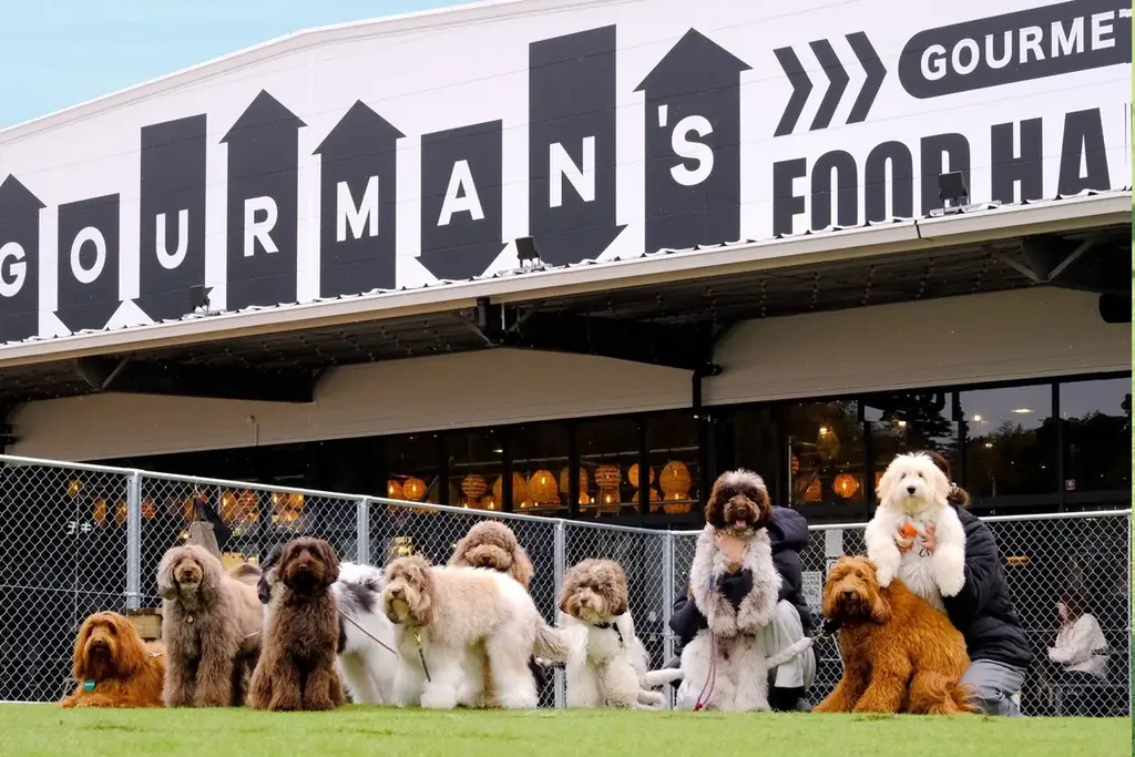 〔いぬやど新掲載〕愛犬とショッピングモールに宿泊する！？新しい宿泊体験ができる「京町湯屋SOKOTOTOはなれ」 画像 12