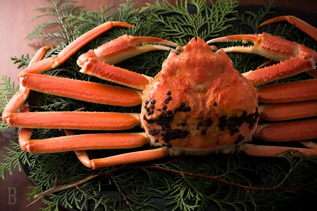 〔いぬやど新掲載〕愛犬とショッピングモールに宿泊する！？新しい宿泊体験ができる「京町湯屋SOKOTOTOはなれ」 画像 18