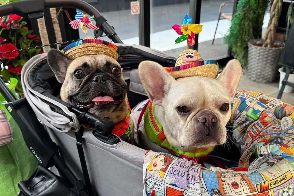 〔いぬやど新掲載〕愛犬とショッピングモールに宿泊する！？新しい宿泊体験ができる「京町湯屋SOKOTOTOはなれ」 画像 8