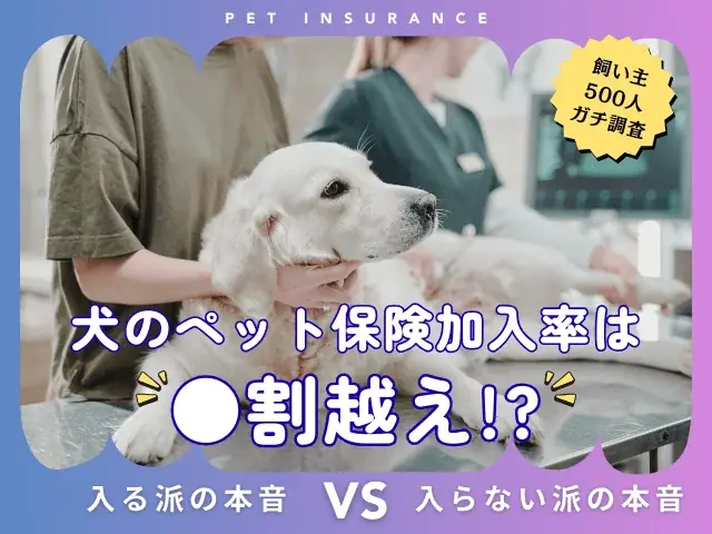 【飼い主500人に調査】犬の保険加入率は驚きの●割超え！「もしも」に備える人が急増中 画像 1