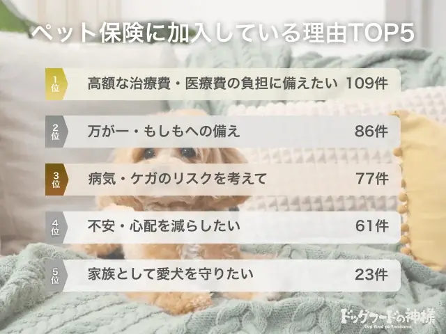 【飼い主500人に調査】犬の保険加入率は驚きの●割超え！「もしも」に備える人が急増中 画像 4