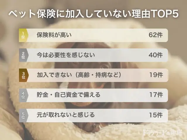 【飼い主500人に調査】犬の保険加入率は驚きの●割超え！「もしも」に備える人が急増中 画像 8