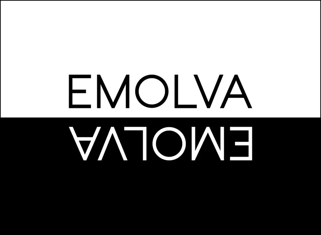 【Wantedlyフォロワー急増ランキング２位】SNSマーケティング企業EMOLVAが採用SNSで存在感を発揮 画像 2