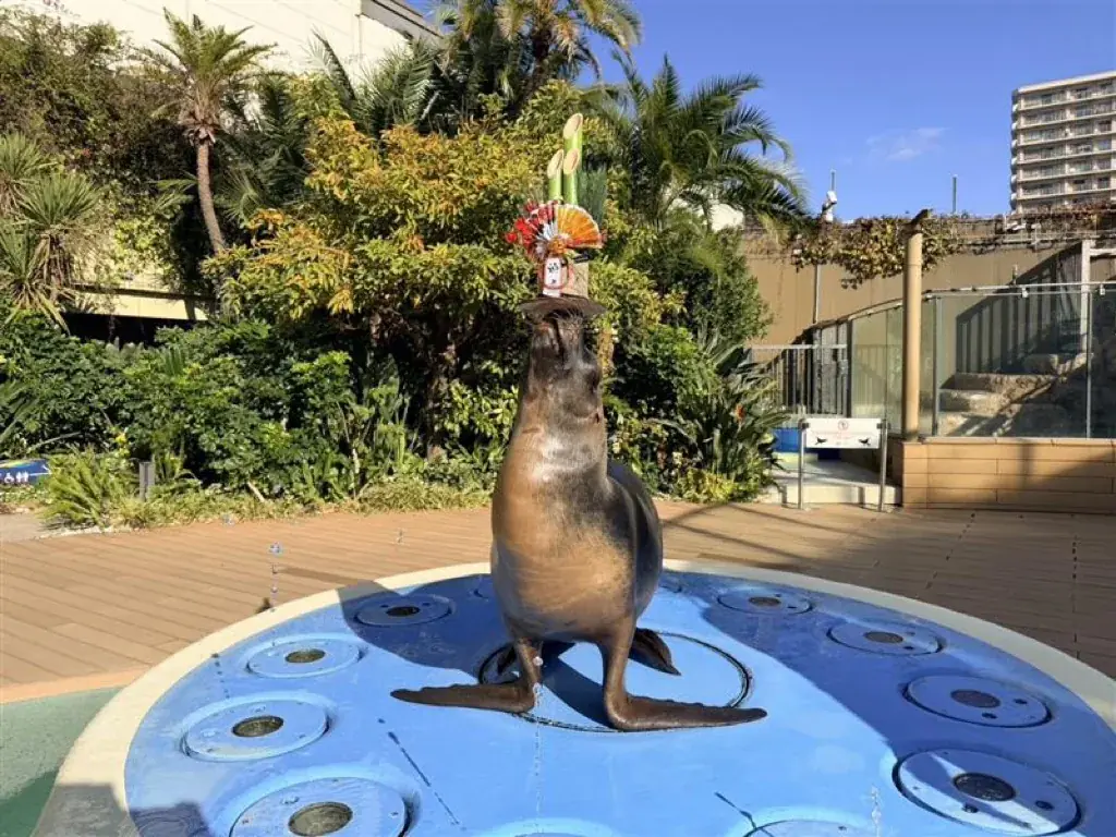 【サンシャインシティのお正月イベントのご紹介】館内各所を獅子舞が練り歩く！　サンシャイン60展望台 てんぼうパークで甘酒とともに初日の出を堪能…♡　サンシャイン水族館ではお正月限定イベントを開催 画像 11