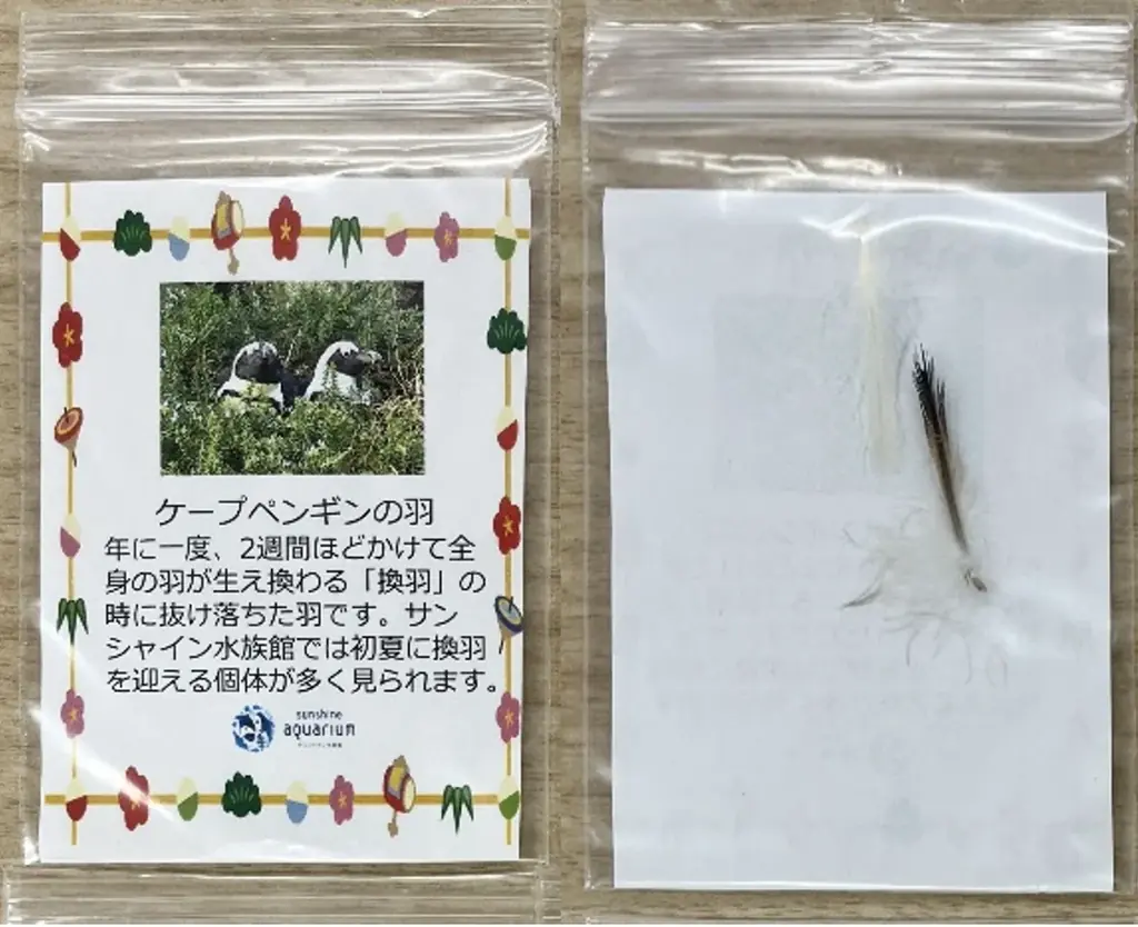 【サンシャインシティのお正月イベントのご紹介】館内各所を獅子舞が練り歩く！　サンシャイン60展望台 てんぼうパークで甘酒とともに初日の出を堪能…♡　サンシャイン水族館ではお正月限定イベントを開催 画像 13