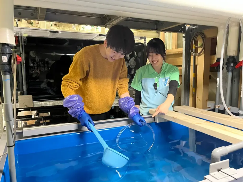 【サンシャインシティのお正月イベントのご紹介】館内各所を獅子舞が練り歩く！　サンシャイン60展望台 てんぼうパークで甘酒とともに初日の出を堪能…♡　サンシャイン水族館ではお正月限定イベントを開催 画像 15