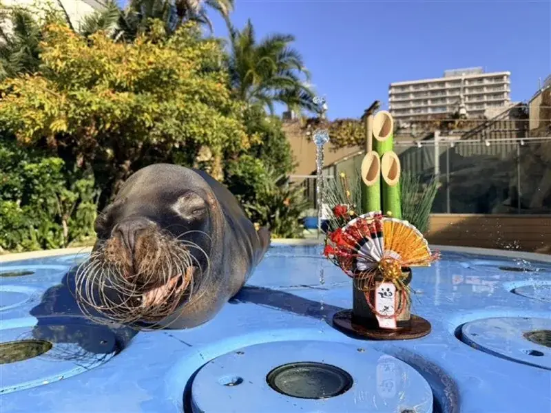 【サンシャインシティのお正月イベントのご紹介】館内各所を獅子舞が練り歩く！　サンシャイン60展望台 てんぼうパークで甘酒とともに初日の出を堪能…♡　サンシャイン水族館ではお正月限定イベントを開催 画像 4