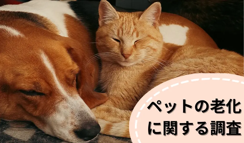 寝ている時間が増えたら老化？犬猫の違いを調査