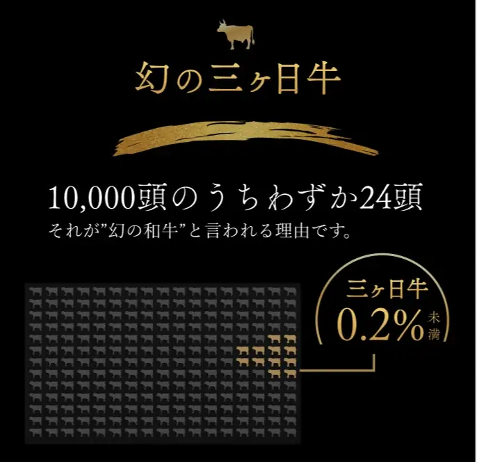 幻の”三ヶ日牛”100％×最高級トリュフが生み出す新次元ハンバーグ「JIGEN HAMBURG」が誕生 画像 5