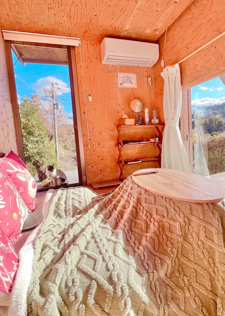 千葉　里山クリスマス 2025-2026｜クリスマス装飾とフォトスポットを展開！猫たちもクリスマスリボンでお出迎え、冬の特別イベントこたつみかんまつり同時開催 画像 11