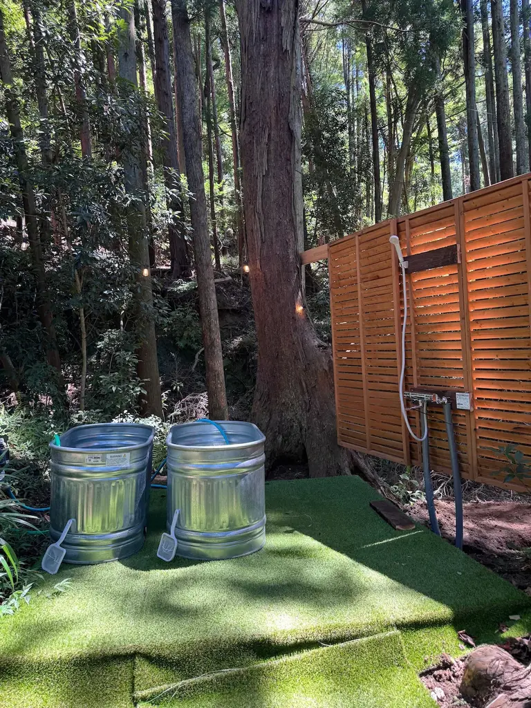 千葉　里山クリスマス 2025-2026｜クリスマス装飾とフォトスポットを展開！猫たちもクリスマスリボンでお出迎え、冬の特別イベントこたつみかんまつり同時開催 画像 12