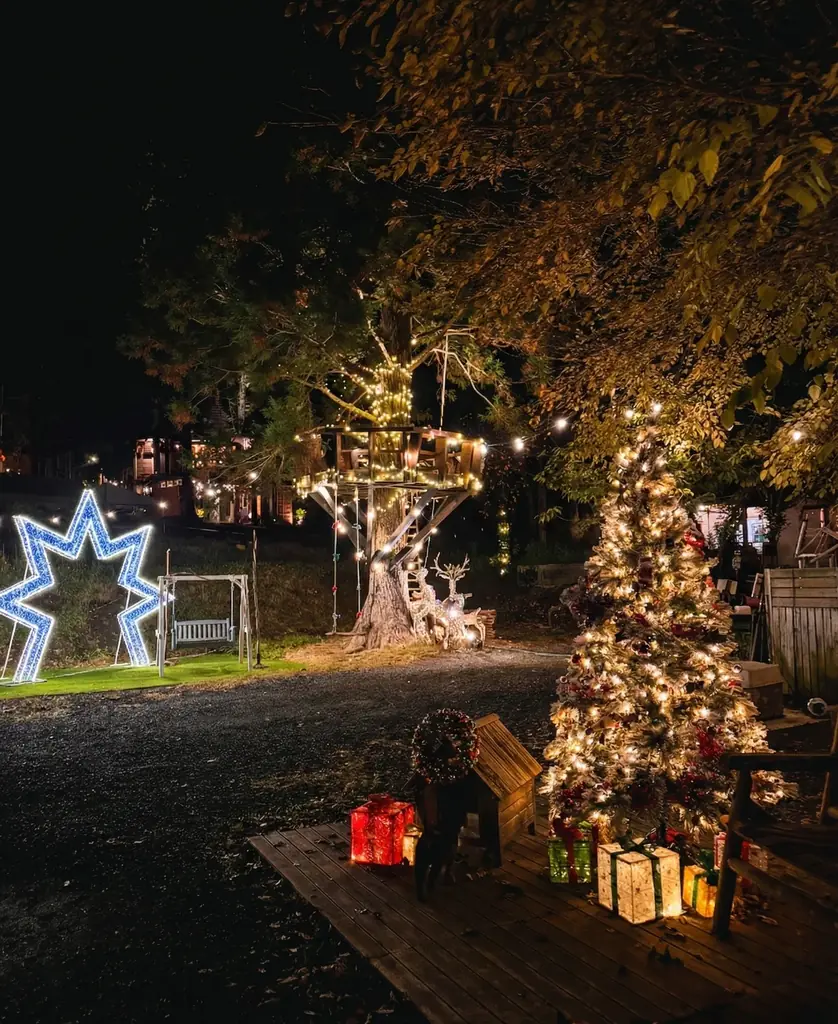 千葉　里山クリスマス 2025-2026｜クリスマス装飾とフォトスポットを展開！猫たちもクリスマスリボンでお出迎え、冬の特別イベントこたつみかんまつり同時開催 画像 2