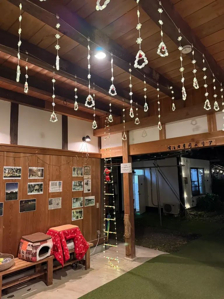 千葉　里山クリスマス 2025-2026｜クリスマス装飾とフォトスポットを展開！猫たちもクリスマスリボンでお出迎え、冬の特別イベントこたつみかんまつり同時開催 画像 3