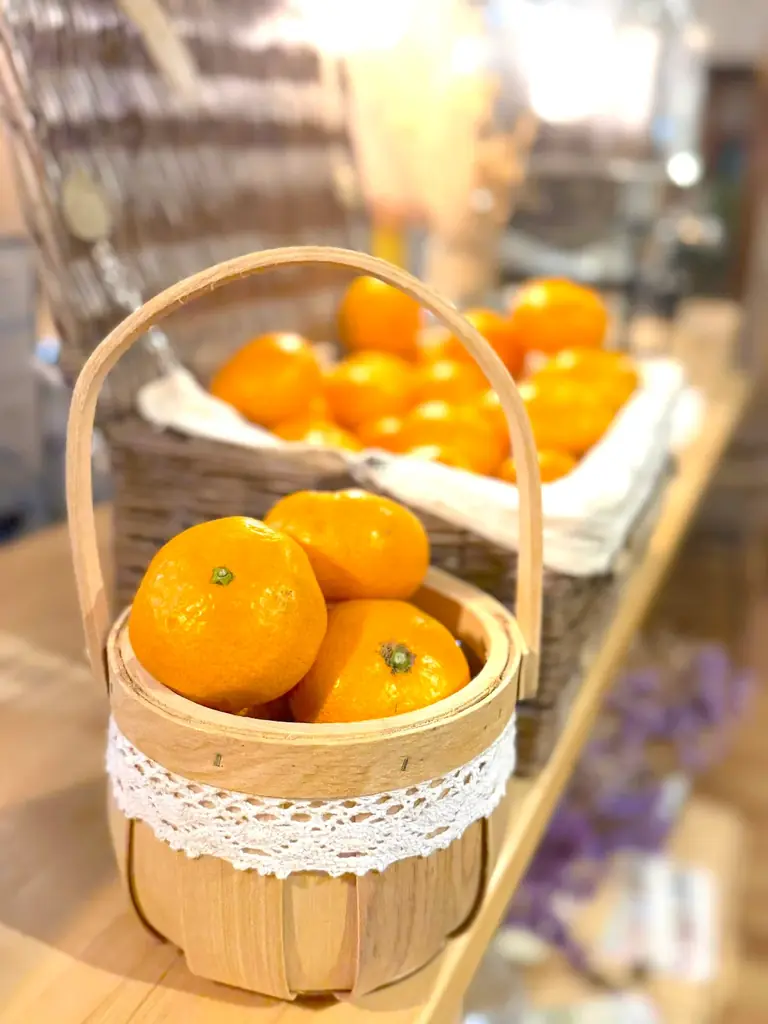 千葉　里山クリスマス 2025-2026｜クリスマス装飾とフォトスポットを展開！猫たちもクリスマスリボンでお出迎え、冬の特別イベントこたつみかんまつり同時開催 画像 9