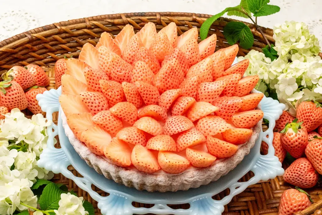 【キル フェ ボン】新作3種に加え、イチゴをはじめとした6日間限定ケーキが登場！クリスマスだけの多彩なラインナップ。クリスマス限定メニュー 画像 12