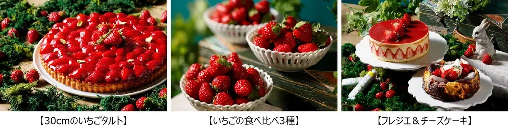 国産苺の食べ比べや滋賀県産＜みおしずく＞を使ったいちごタルトなど いちごスイーツをたっぷり愉しむスイーツビュッフェ『苺の森のアトリエ』 琵琶湖ホテルで2026年1月24日（土）から開催 画像 2