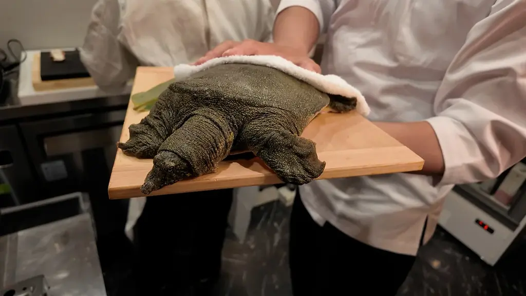 【大阪心斎橋】ミシュラン5年連続掲載の女性鮨職人が握る鮨がまさかの0円！？ 画像 6