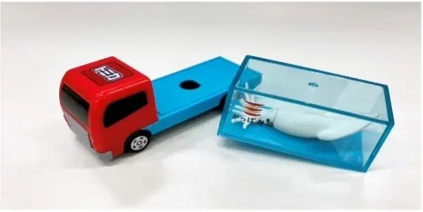 かっぱ寿司 キャンペーン トミカ “あそべる!くるま” プレゼントキャンペーン 大好評の「トラック（暗いところで光るいか）」と「ターレー（ぴちぴち動くまぐろ）」追加入荷！ 画像 4