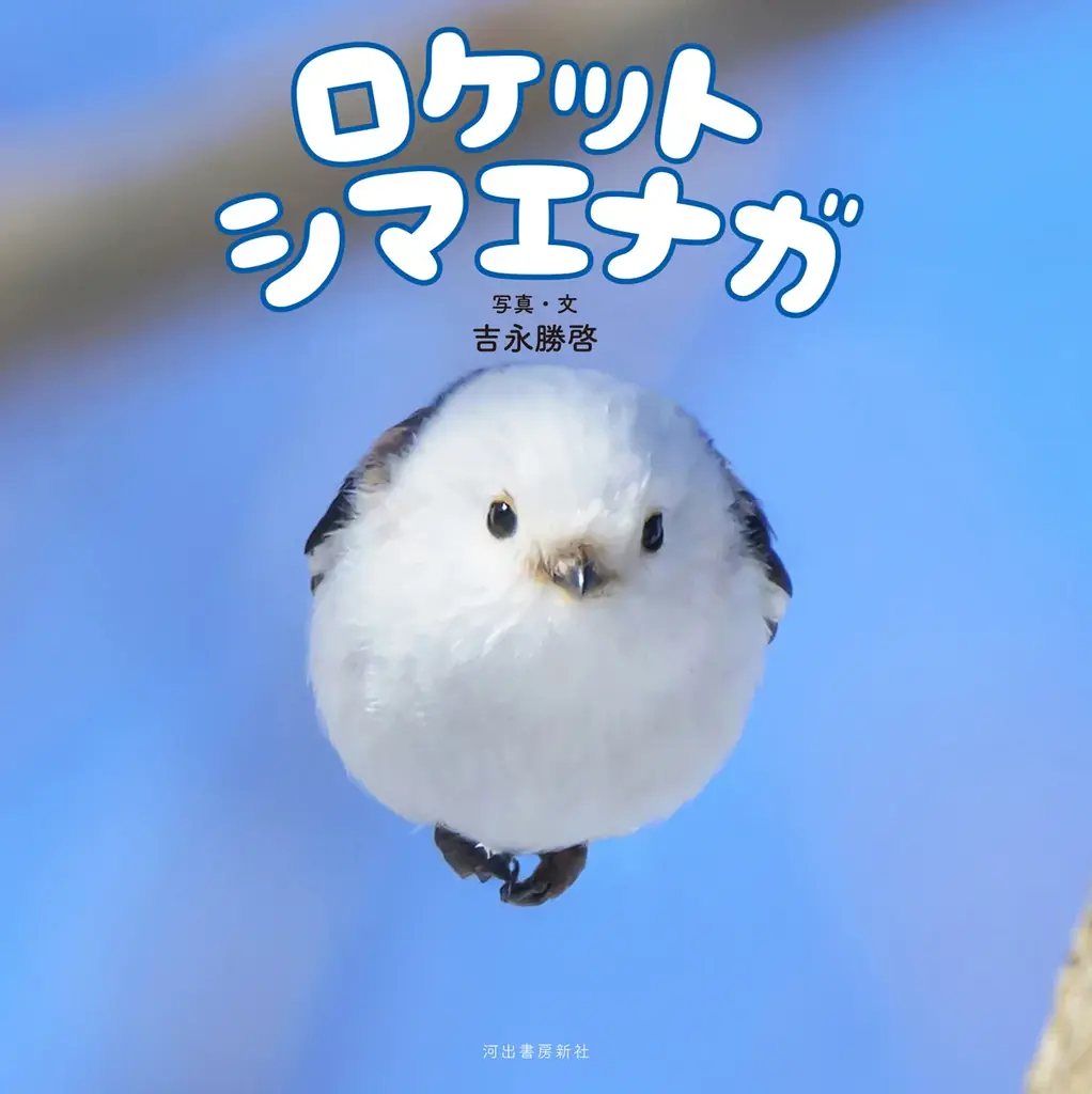 12月23日発売 写真集『ロケットシマエナガ』雪の妖精ショット集