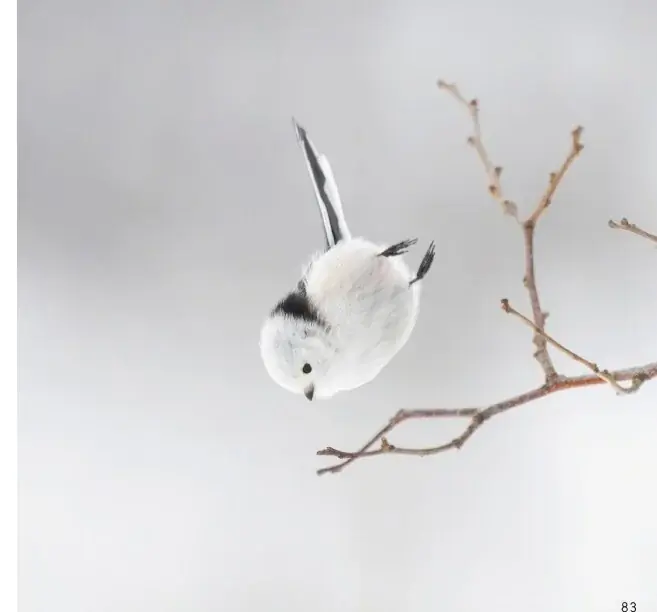 もふもふ（・⊝・）しゅっぱつ！　北海道の冬空を自由自在に飛び回る”雪の妖精”シマエナガのもふふわ写真集『ロケットシマエナガ』が、12月23日発売！　2026年カレンダーも発売中、大好評重版出来！ 画像 3