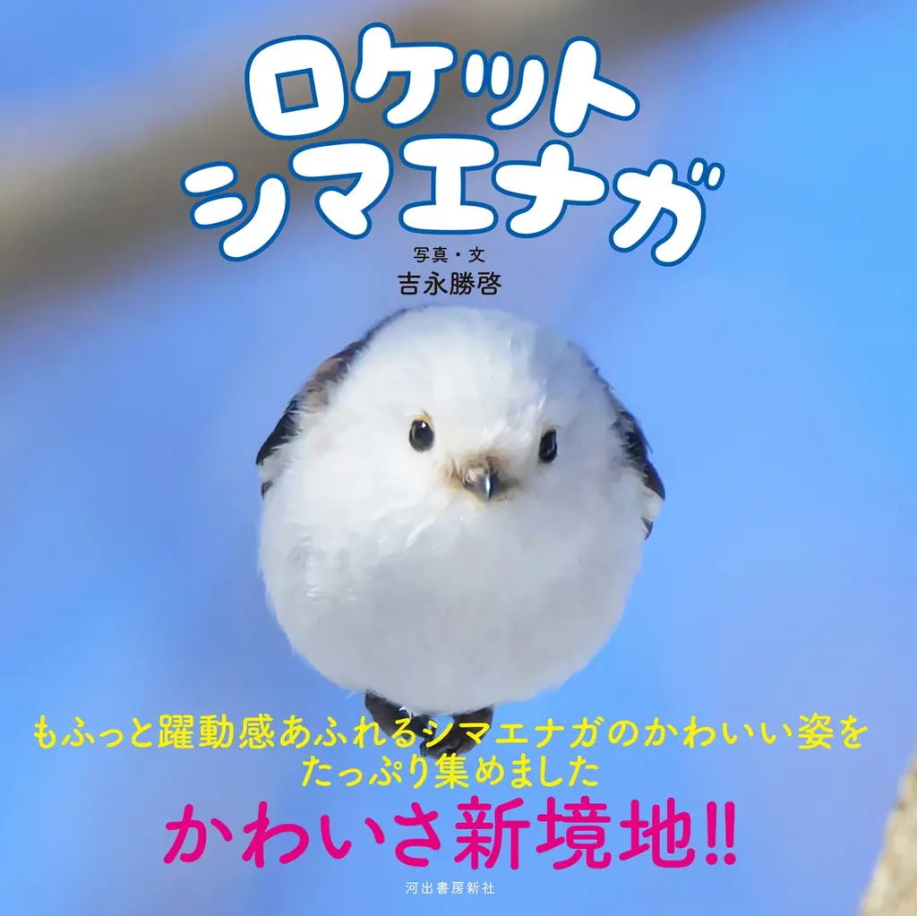 もふもふ（・⊝・）しゅっぱつ！　北海道の冬空を自由自在に飛び回る”雪の妖精”シマエナガのもふふわ写真集『ロケットシマエナガ』が、12月23日発売！　2026年カレンダーも発売中、大好評重版出来！ 画像 9