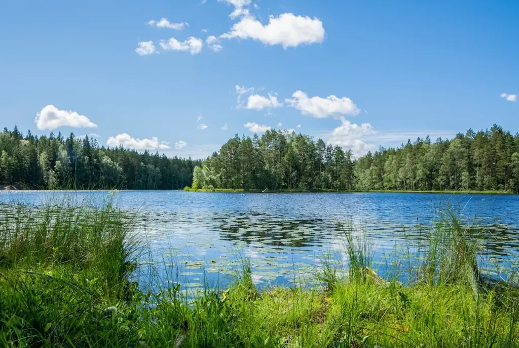 日本⇔フィンランド往復航空券が当たる！ベルトラ、フィンランド政府観光局・フィンエアーと共同プロモーションを開始 画像 3