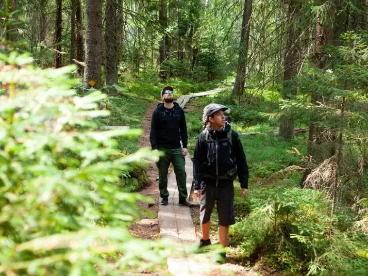 日本⇔フィンランド往復航空券が当たる！ベルトラ、フィンランド政府観光局・フィンエアーと共同プロモーションを開始 画像 5