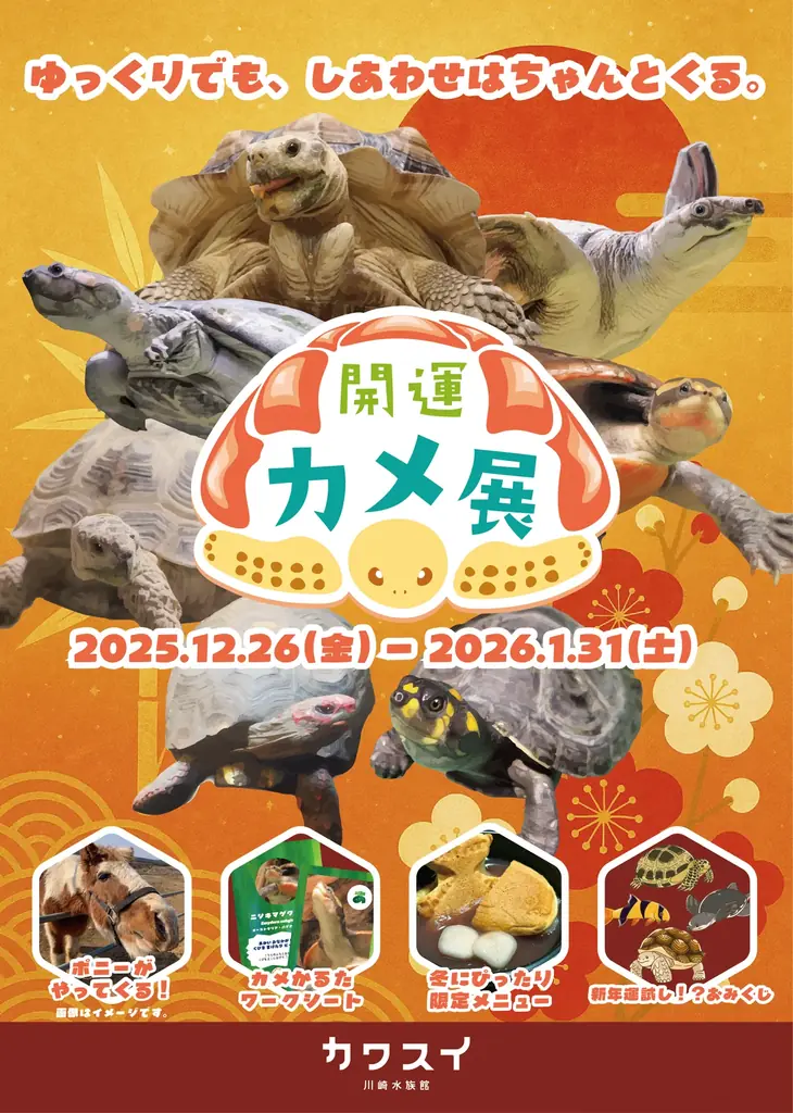 【カワスイ 川崎水族館】縁起の良いカメ＆干支のポニーが集合！家族で楽しむ「開運カメ展」を12月26日より開催！ 画像 1