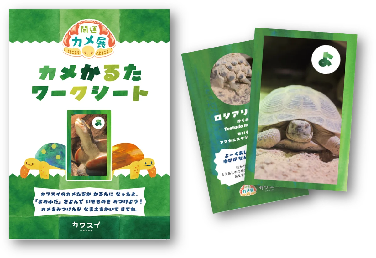【カワスイ 川崎水族館】縁起の良いカメ＆干支のポニーが集合！家族で楽しむ「開運カメ展」を12月26日より開催！ 画像 5
