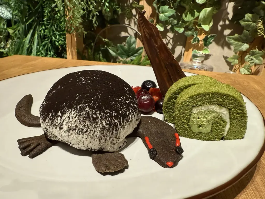 【カワスイ 川崎水族館】縁起の良いカメ＆干支のポニーが集合！家族で楽しむ「開運カメ展」を12月26日より開催！ 画像 6