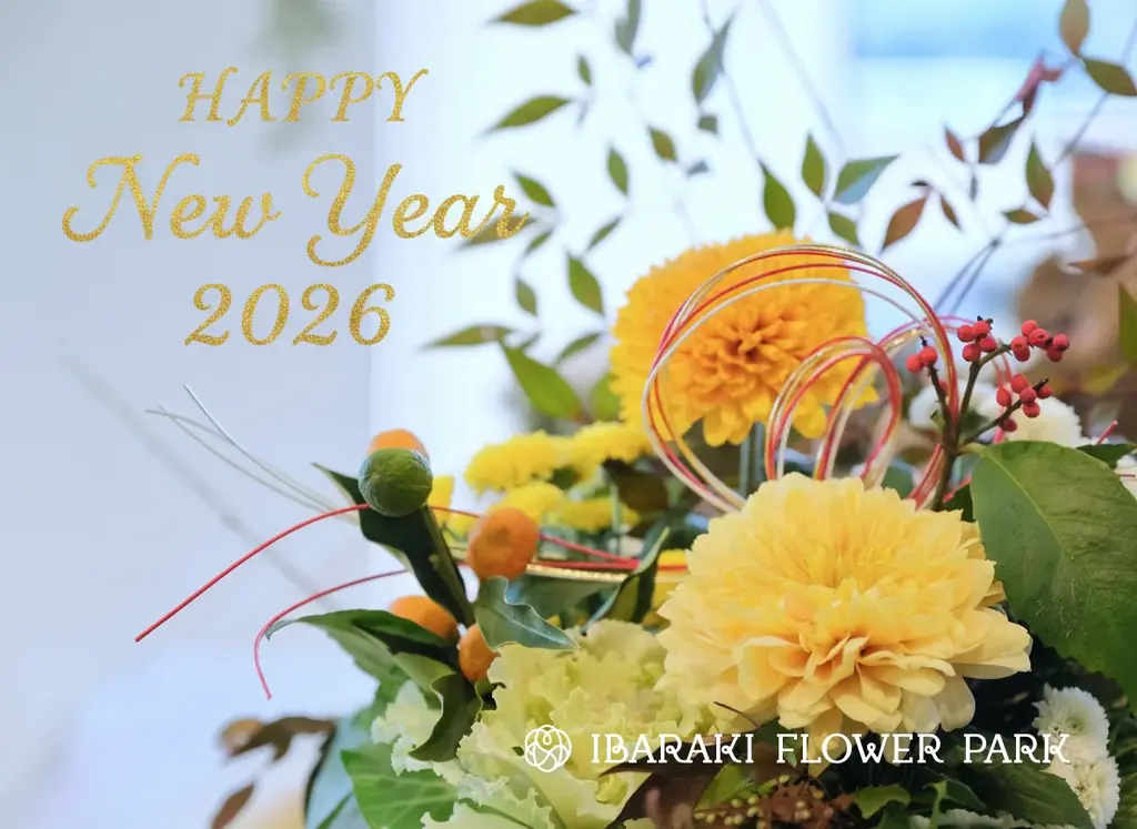 1/4開催 ニューイヤーフェス2026｜和太鼓と餅つきで新年を祝う