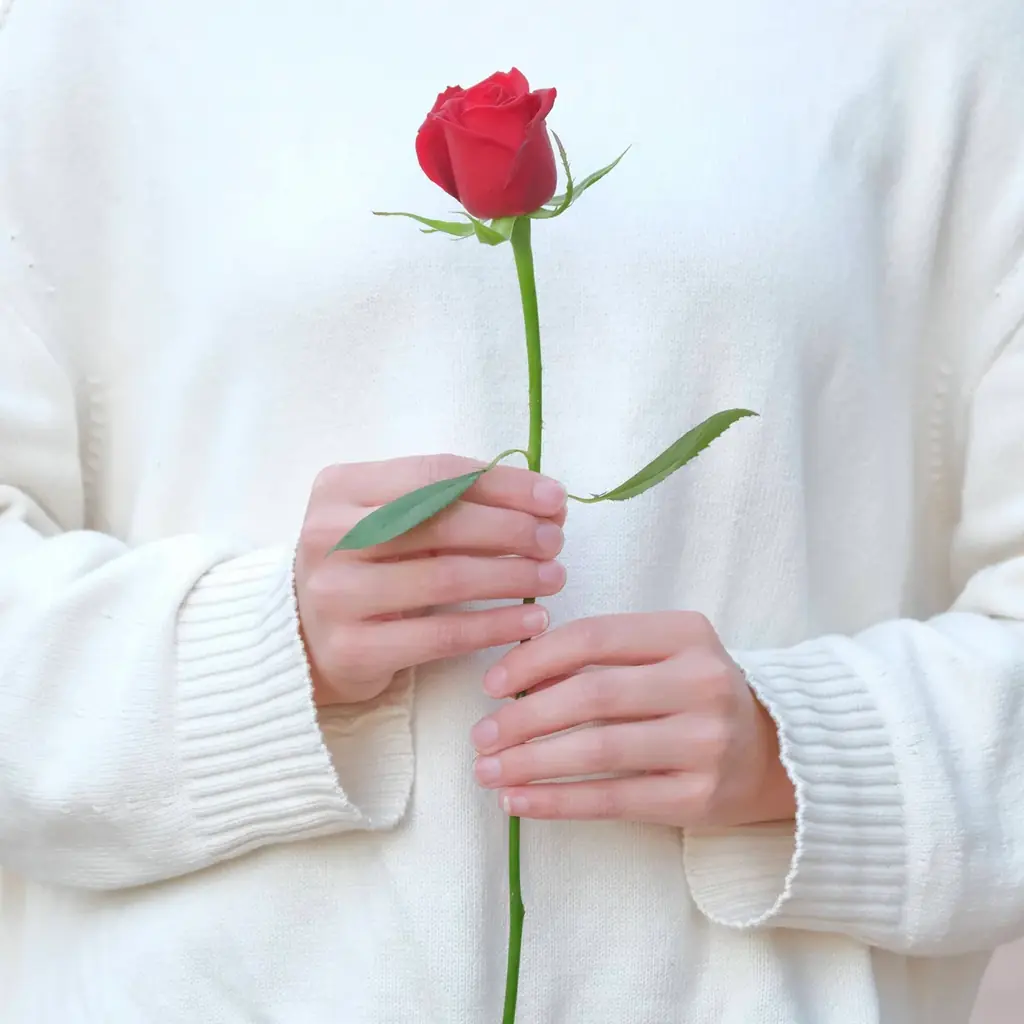 【バラ1輪やお餅の無料ふるまい開催】いばらきフラワーパークニューイヤー2026 画像 2