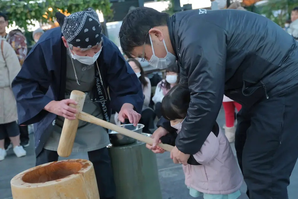 【バラ1輪やお餅の無料ふるまい開催】いばらきフラワーパークニューイヤー2026 画像 6