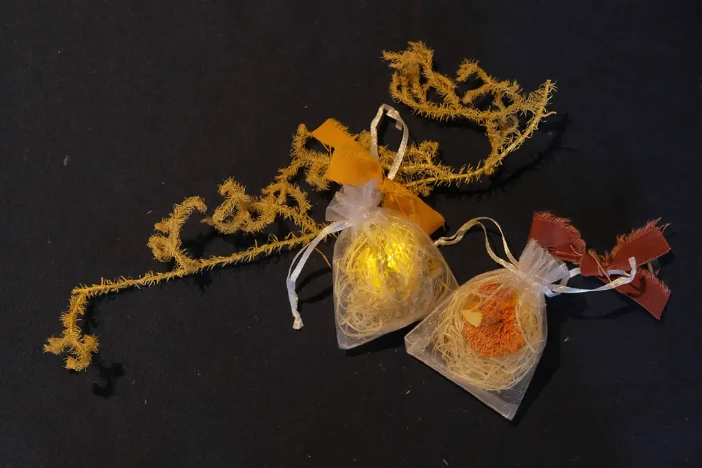 【バラ1輪やお餅の無料ふるまい開催】いばらきフラワーパークニューイヤー2026 画像 7