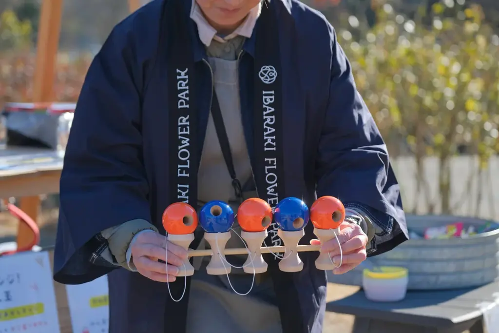 【バラ1輪やお餅の無料ふるまい開催】いばらきフラワーパークニューイヤー2026 画像 9