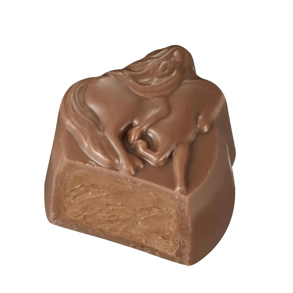 京都 上賀茂神社との共同企画！！4種類の“うまくいくメッセージ”と当たりのチョコレートで、午年を占う 「ニューイヤー フォーチュン コレクション」 画像 10