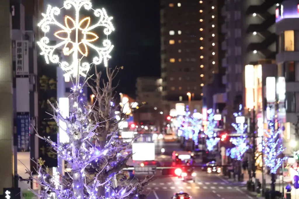 【相模原市中央区】～中央区誕生１５周年記念～『イルミネーション×中央区花手水』を実施！ 画像 5