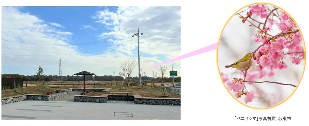 C4 首都圏中央連絡自動車道に新たな休憩施設がオープンします！ 画像 5